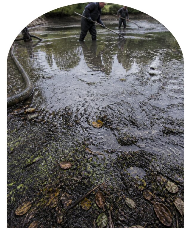 Очистка пруда в Гудермесе от ила мусора и водорослей с вывозом
